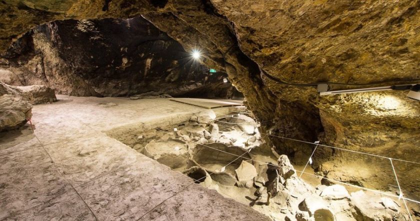 ԹՌՉՈՒՆՆԵՐԻ ՔԱՐԱՆՁԱՎ